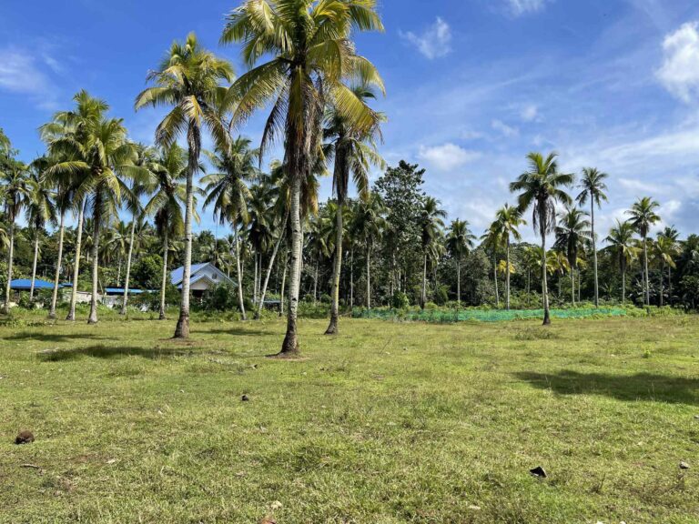 Samal Residential Lots for Sale