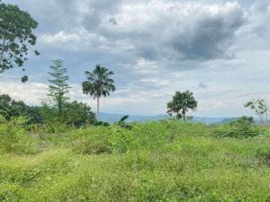 Lot For Sale In Buhangin, Davao City