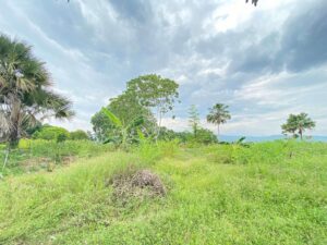 Lot For Sale In Buhangin, Davao City