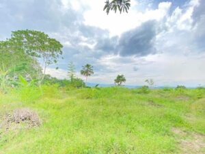 Lot For Sale In Buhangin, Davao City