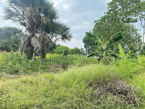 Lot For Sale In Buhangin, Davao City