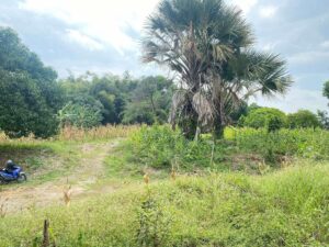 Lot For Sale In Buhangin, Davao City