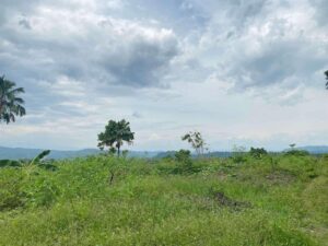 Lot For Sale In Buhangin, Davao City