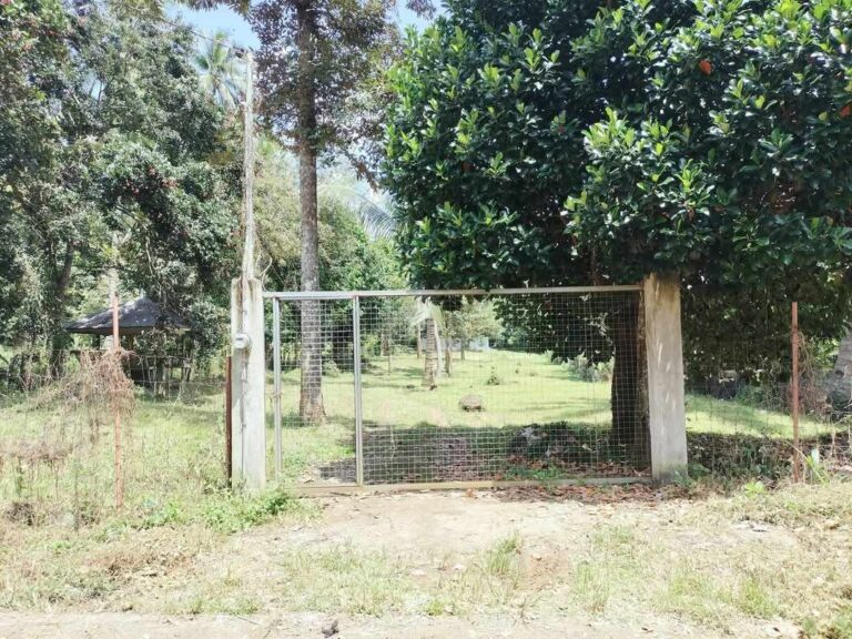 Farm Lot For Sale