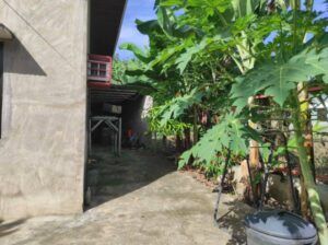 HOUSE & LOT FOR SALE IN TUGBOK DAVAO CITY
