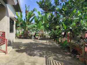 HOUSE & LOT FOR SALE IN TUGBOK DAVAO CITY